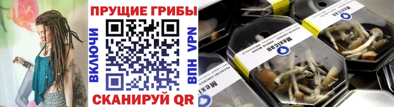 Псилоцибиновые грибы мицелий  Куртамыш 